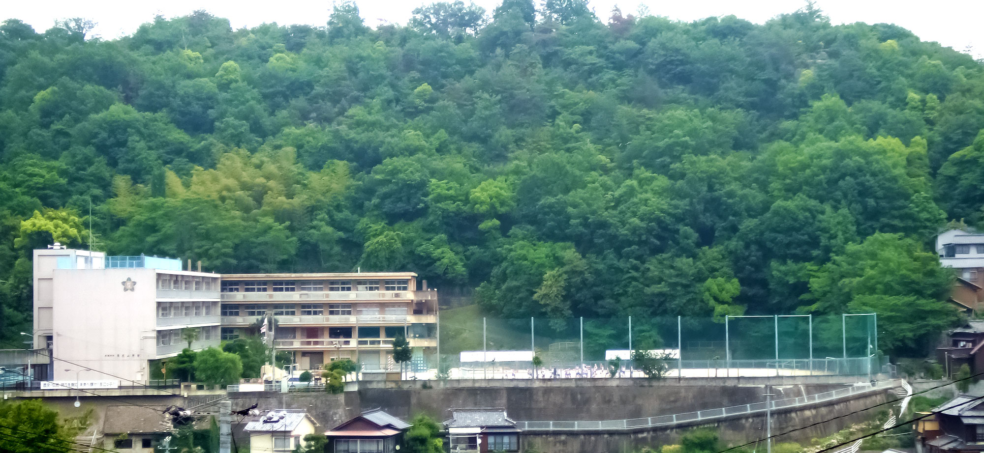 長江小学校全景