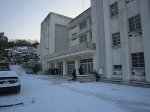 雪が積もりました