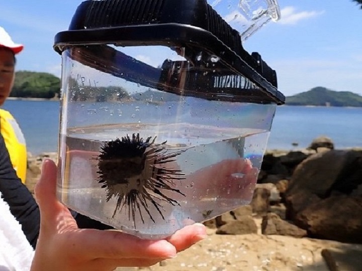 写真
