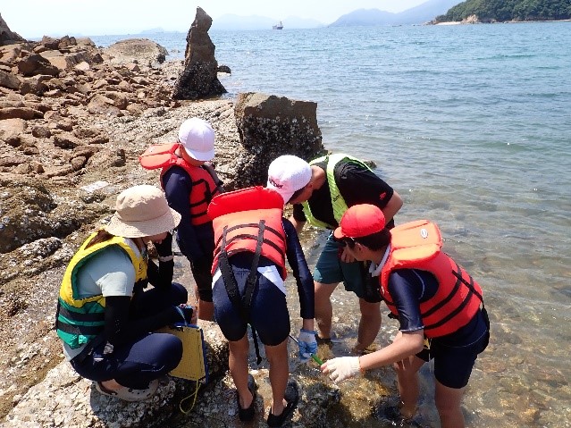 写真
