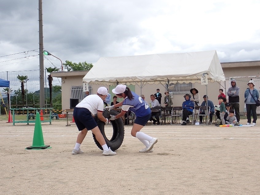 写真