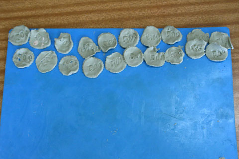 Image 14