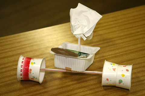 Image 21
