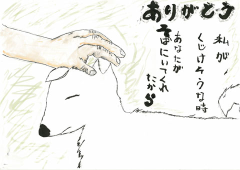 Image 36
