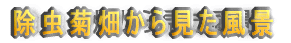 e猩i