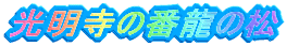 ̔ԗ̏