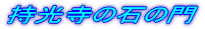 ̐΂̖