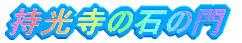 ̂イ̏