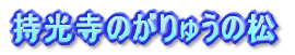 ̂イ̏