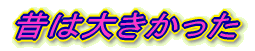 ̂͑傫