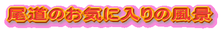 ̂Cɓ̕i