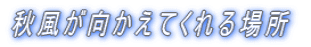 HĂꏊ