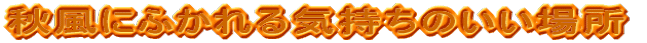HɂӂĈꏊ