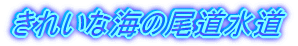 ꂢȊC