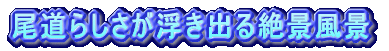 炵oii