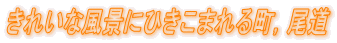 ꂢȕiɂЂ܂钬C 