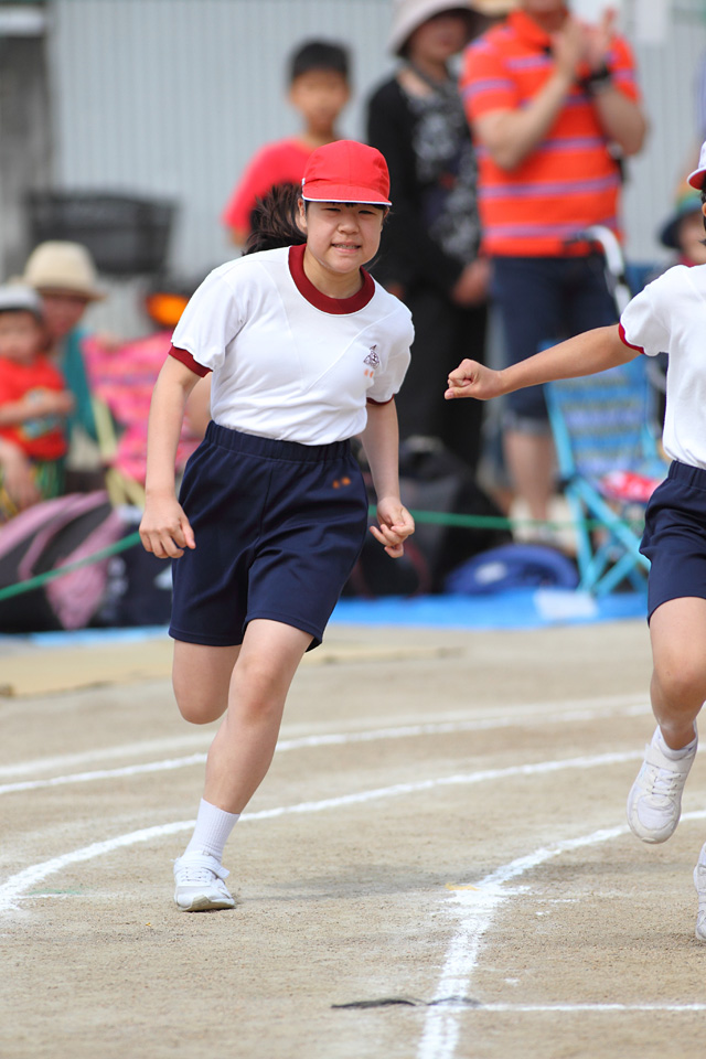 6年生運動会 神栖市教育委員会