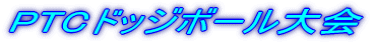 PTC�h�b�W�{�[�����