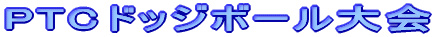 PTC�h�b�W�{�[�����